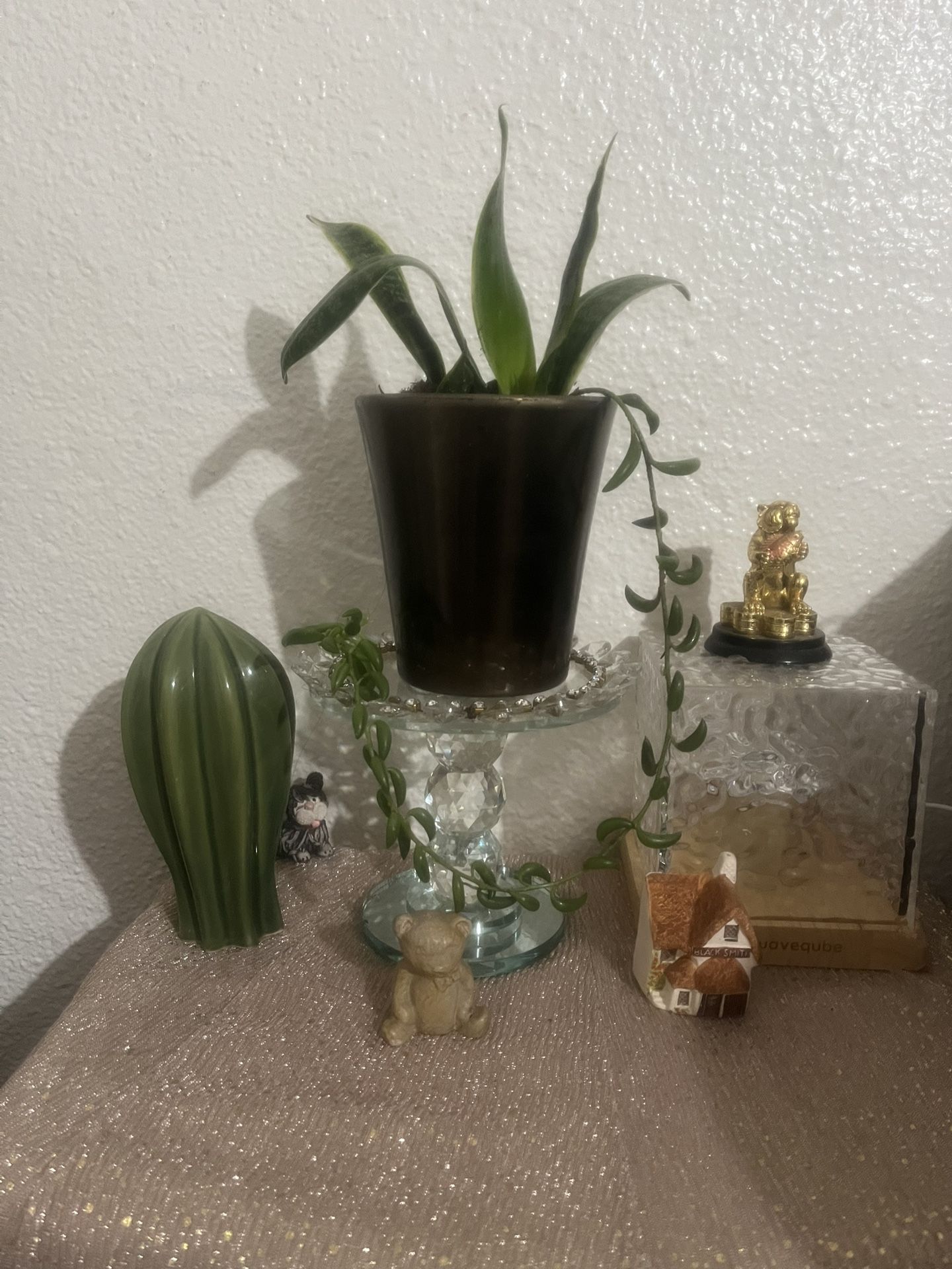 Plant