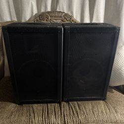 Peavey Speakers Pair $80 OBO