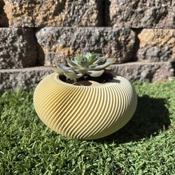 3d Printed Modern Planter