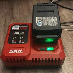 🔥 SKIL 20V BATTERY & CHARGER SET — $75 FIRM-ish! 🔥