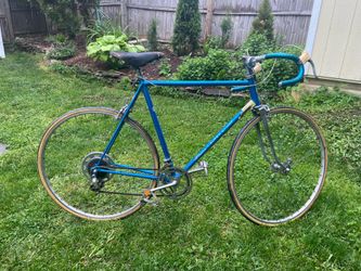 ⚡️ STUNNING TIME CAPSULE: Restored 1970s Schwinn Super Sport ⚡️