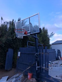 Basket hoop silverback
