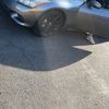 Jay