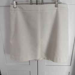 Women’s Size 10 Skirt 