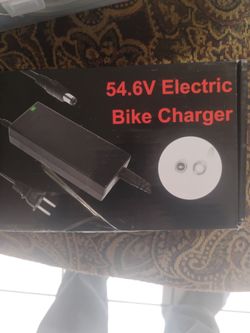 48 volt ebike charger