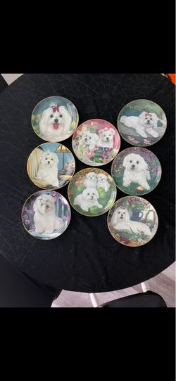 Maltese pup dish collection