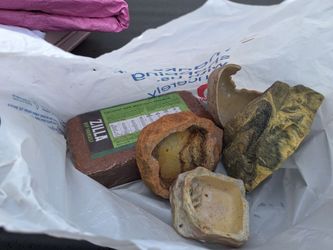 Reptile stuff (bedding, caves, water bowls)