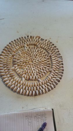 Cowrie Shell Decorative Plate