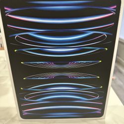 Apple iPad Pro 12.9in, 256GB, Wi-Fi, 6th Gen silver - brand new 