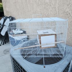 Bird CAGE