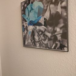 Set of 4 Blue Rose Framed Prints 