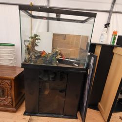 Terrarium With Cabinet Stand