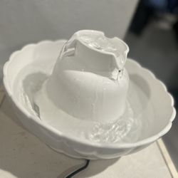 Dog Drinking Fountain 