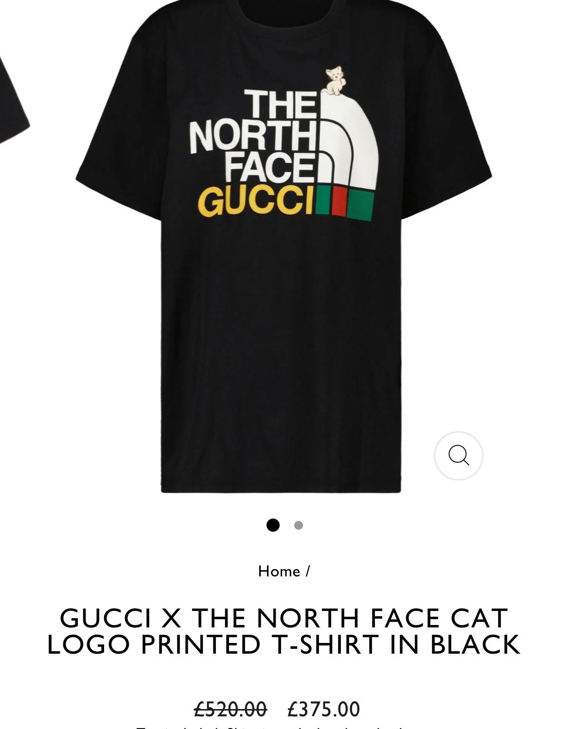 Gucci north face