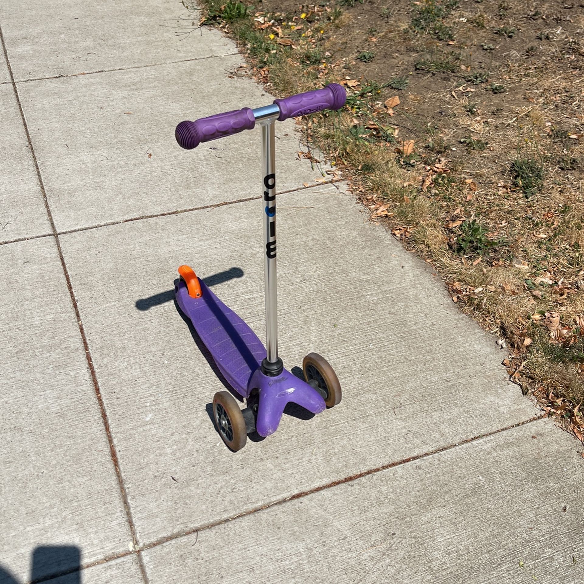Micro Mini Scooter