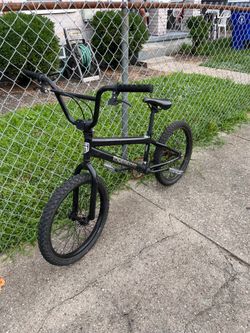 Mongoose 20 in