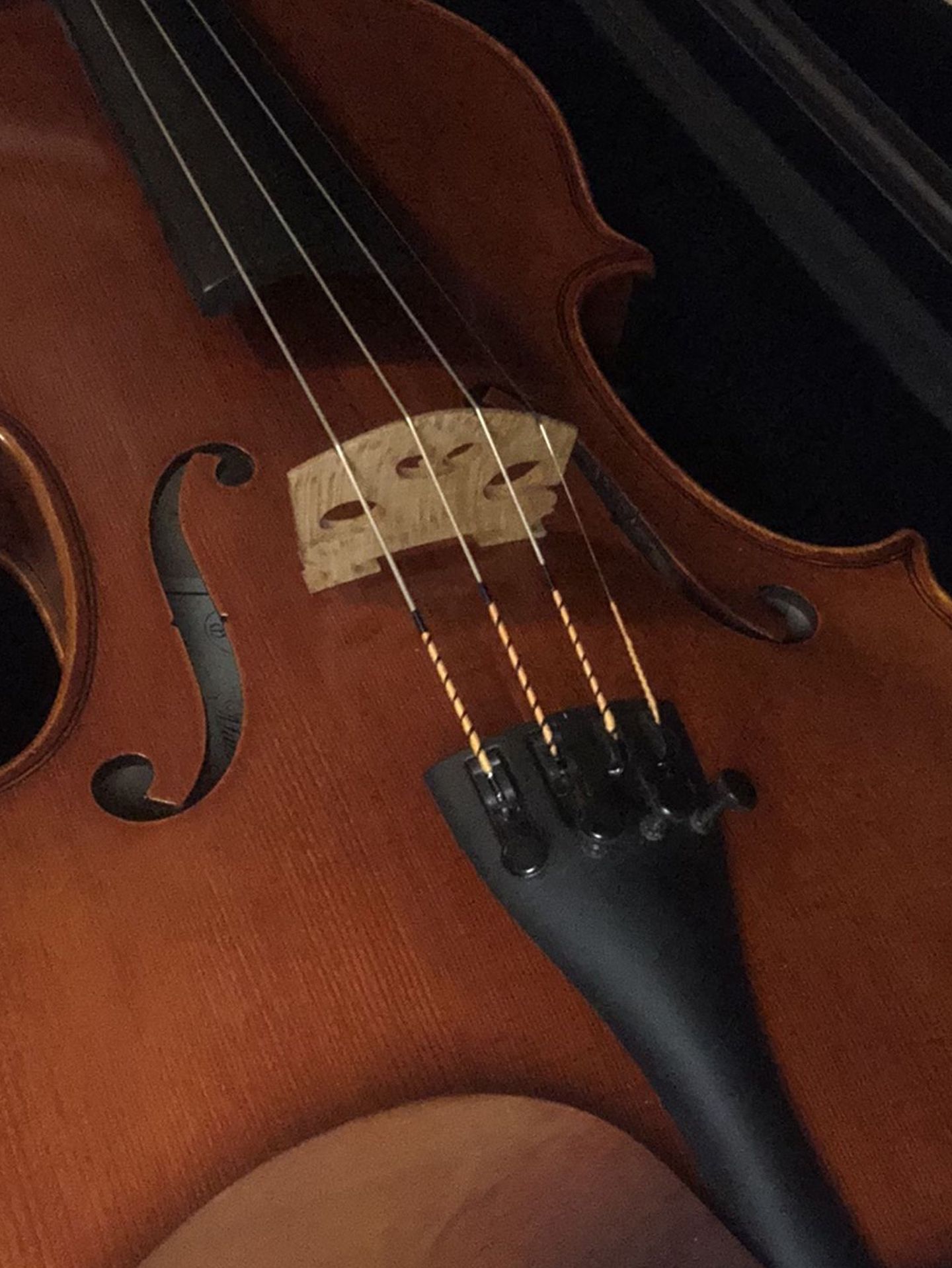 Violin (Full 4/4)