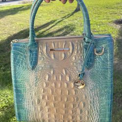 Brahmin Bag & Shoes!