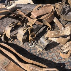 2 Pair Tree Climbing Spikes