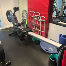 BH LK500RW Rowing Machine 