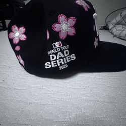 Brand New LA Custom SnapBack Hat