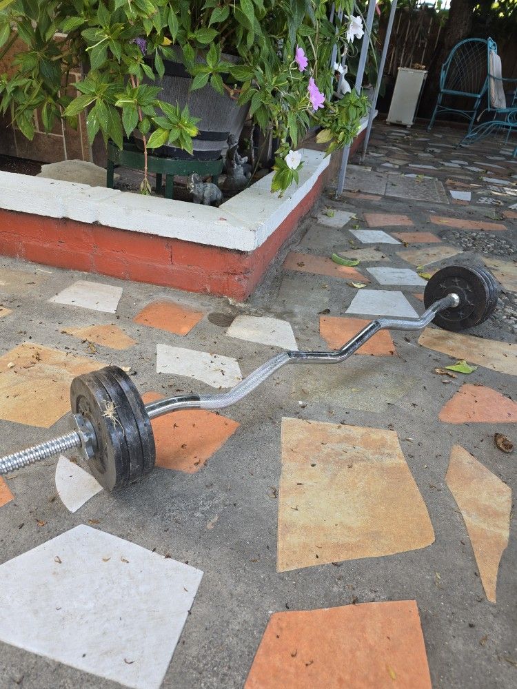 Curl Bar With Weights