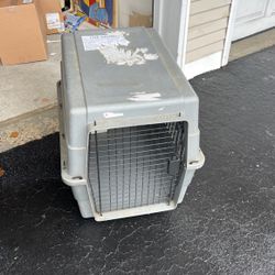 Dog Checked Carrier 