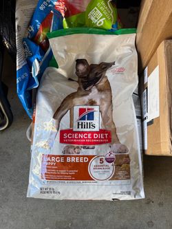 Large Breed puppy food