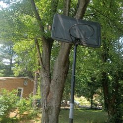 Basketball Hoop 