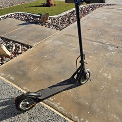 5th Wheel Adult/Teen Scooter