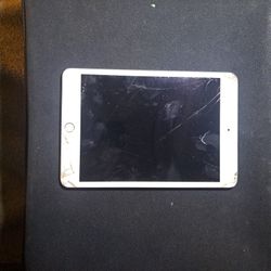 Ipad Mini 5th Gen