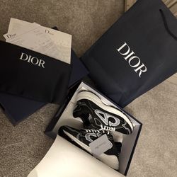 Dior B30 Shoes