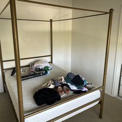 Gold Bed FULL Frame