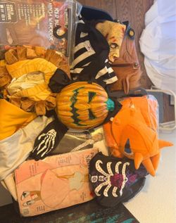 Halloween costumes $5