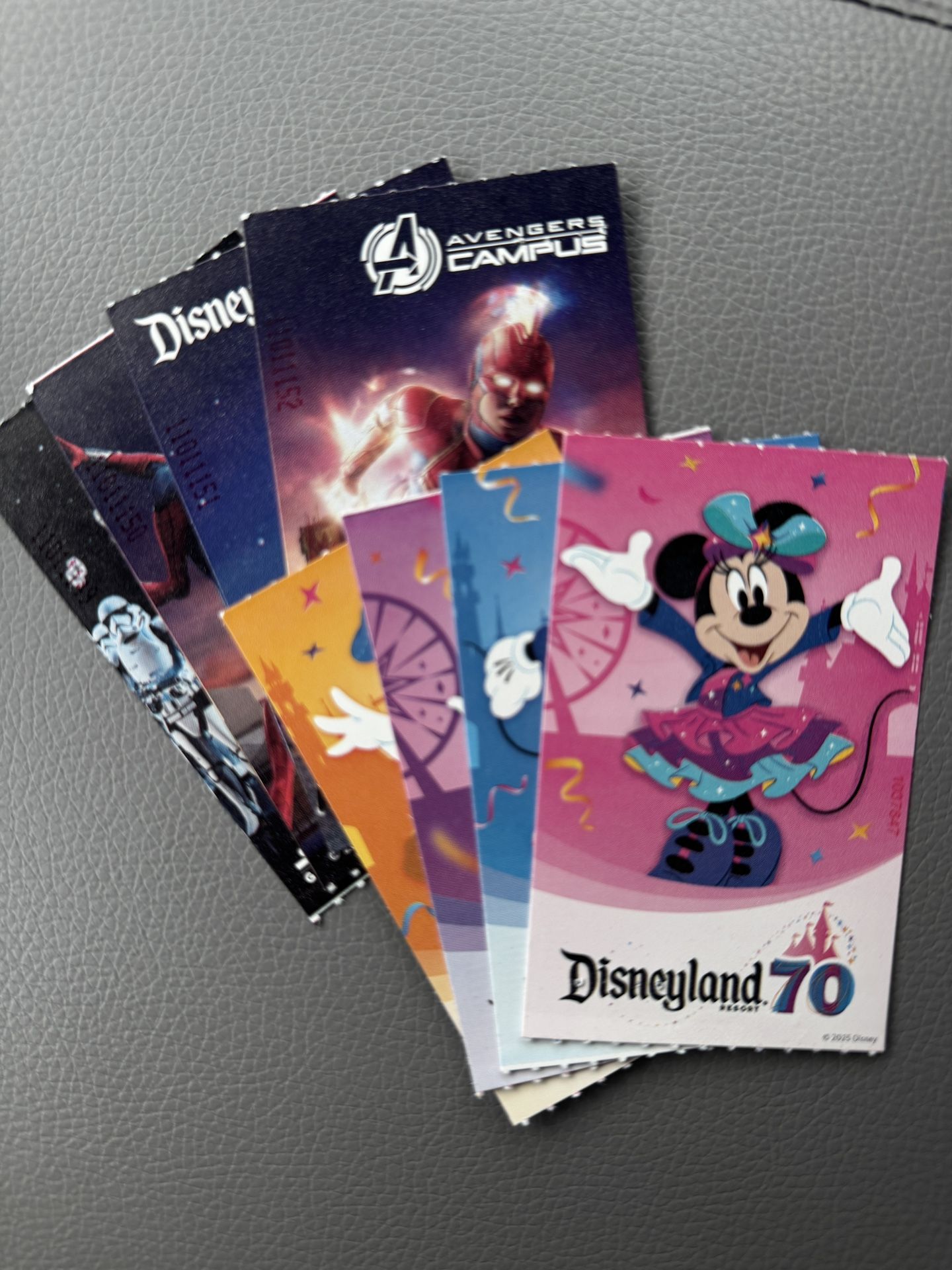 1-Day 1-Park Tier 6 Disney Tickets (8)