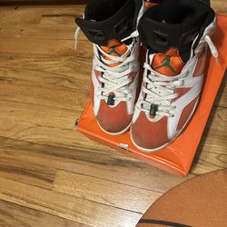 Jordan 6s Gatorade used