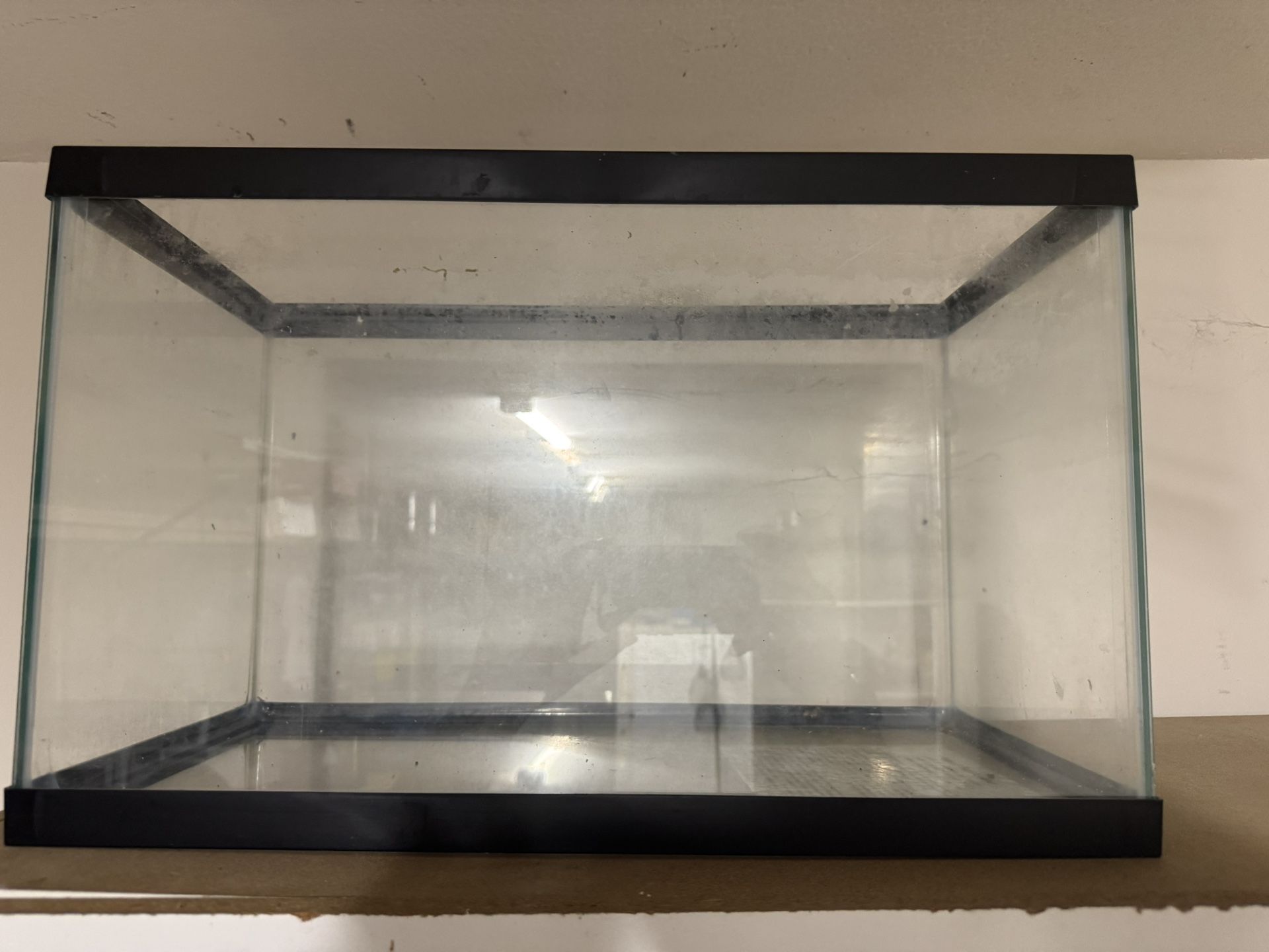 10 Gallon fish Tank