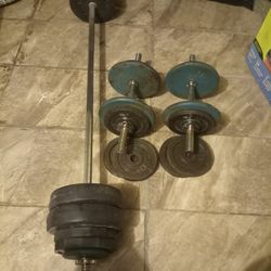 Weights (100) For All 
