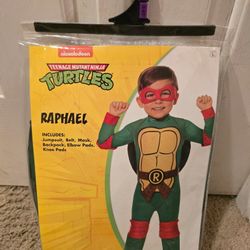 Ninja Turtle Halloween Costume 