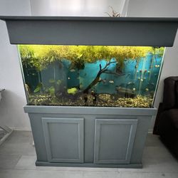75 Gal Aquarium. 