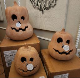 Pottery Barn Terracotta Gourd Luminaries Halloween Decor 
