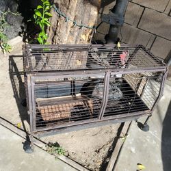 Pet Cage