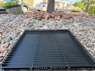Dog pee grate