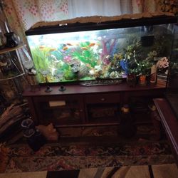 Big Fish Tank, Without Fish