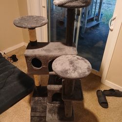 **MULTIPLE  CAT ITEMS**MUST SEE**