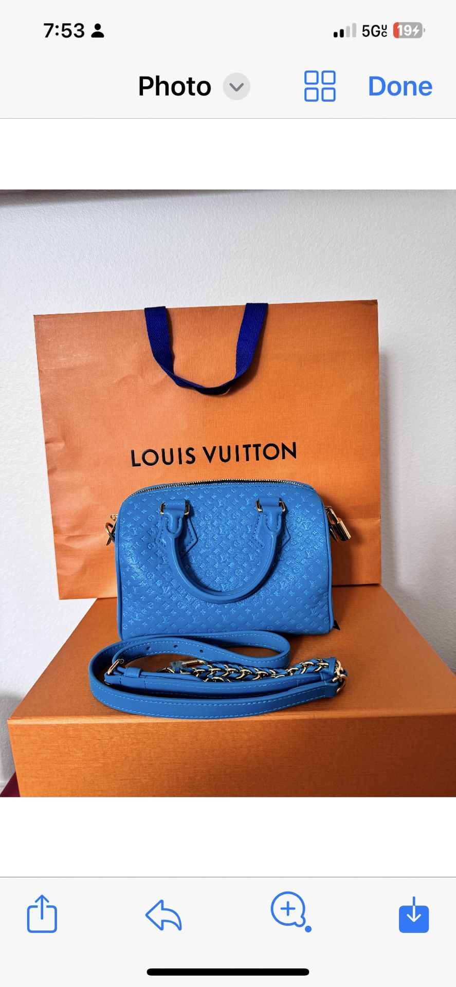 Authentic Louis Vuitton Rare Bag