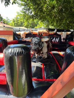 Mechanical bull 🐂