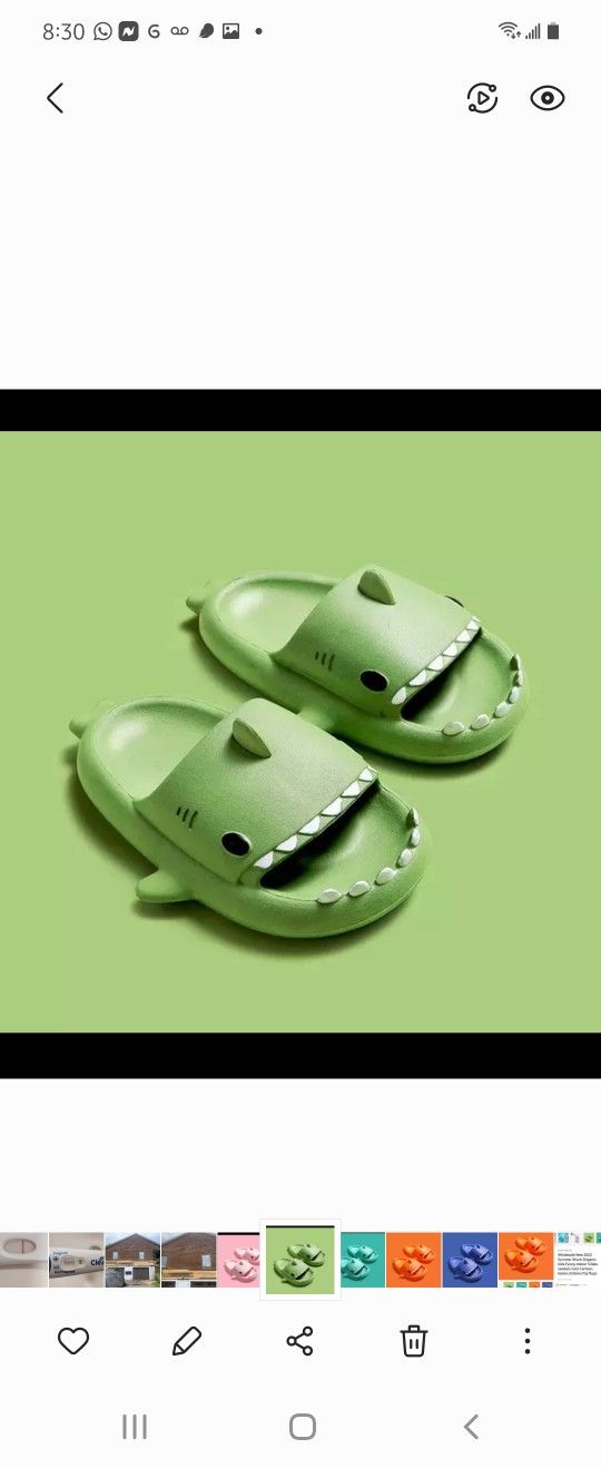 Shark Slides Toddler