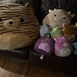Squishmallow 