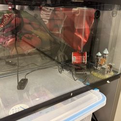 10 Gallon Fish Tank